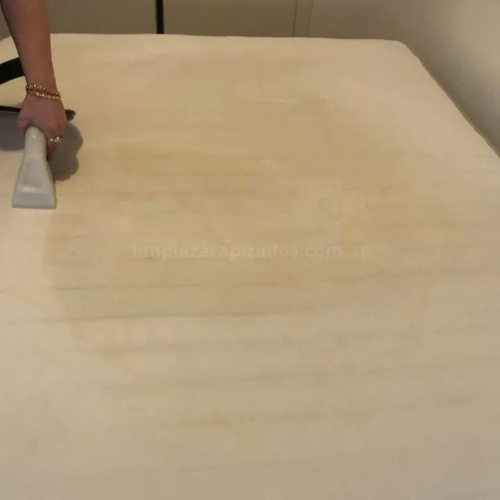 personal de limpieza de tapizados lavando un colchón sucio en caba